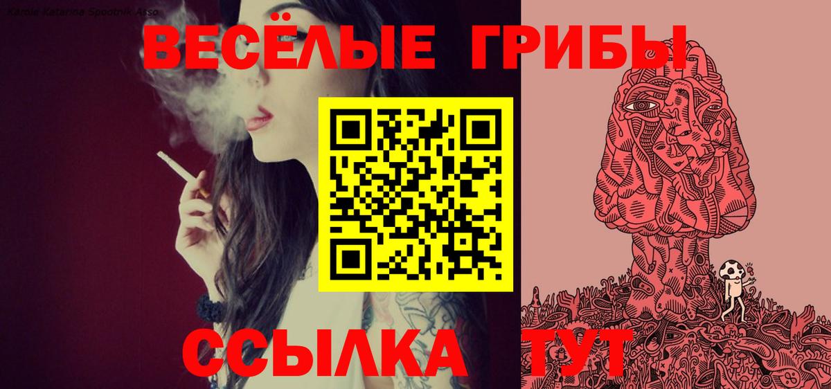 Псилоцибиновые грибы Psilocybe Лениногорск